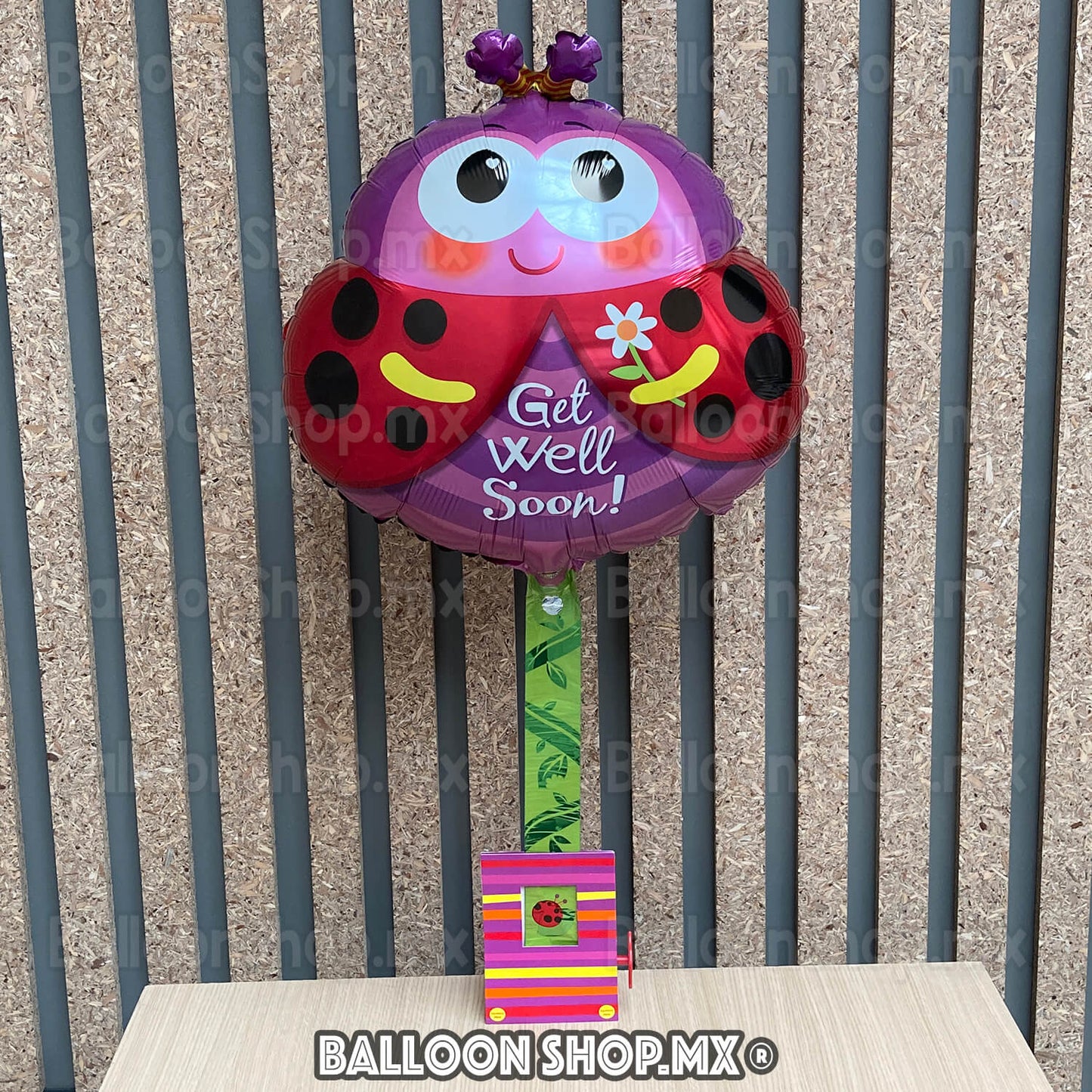 Catarina con base enrollable