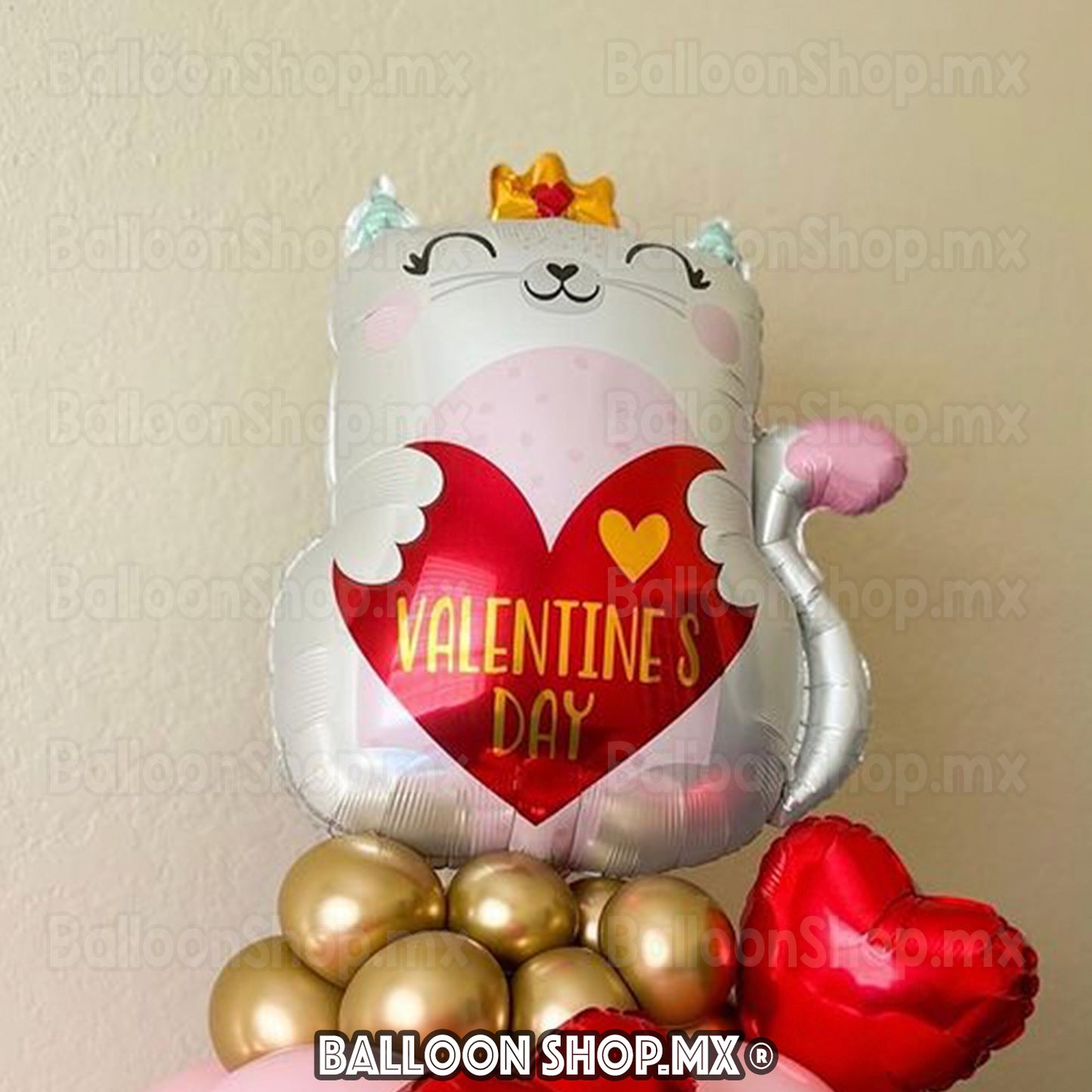 Gatito San Valentin